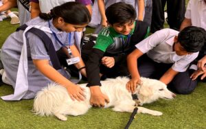 Worlds wild life day