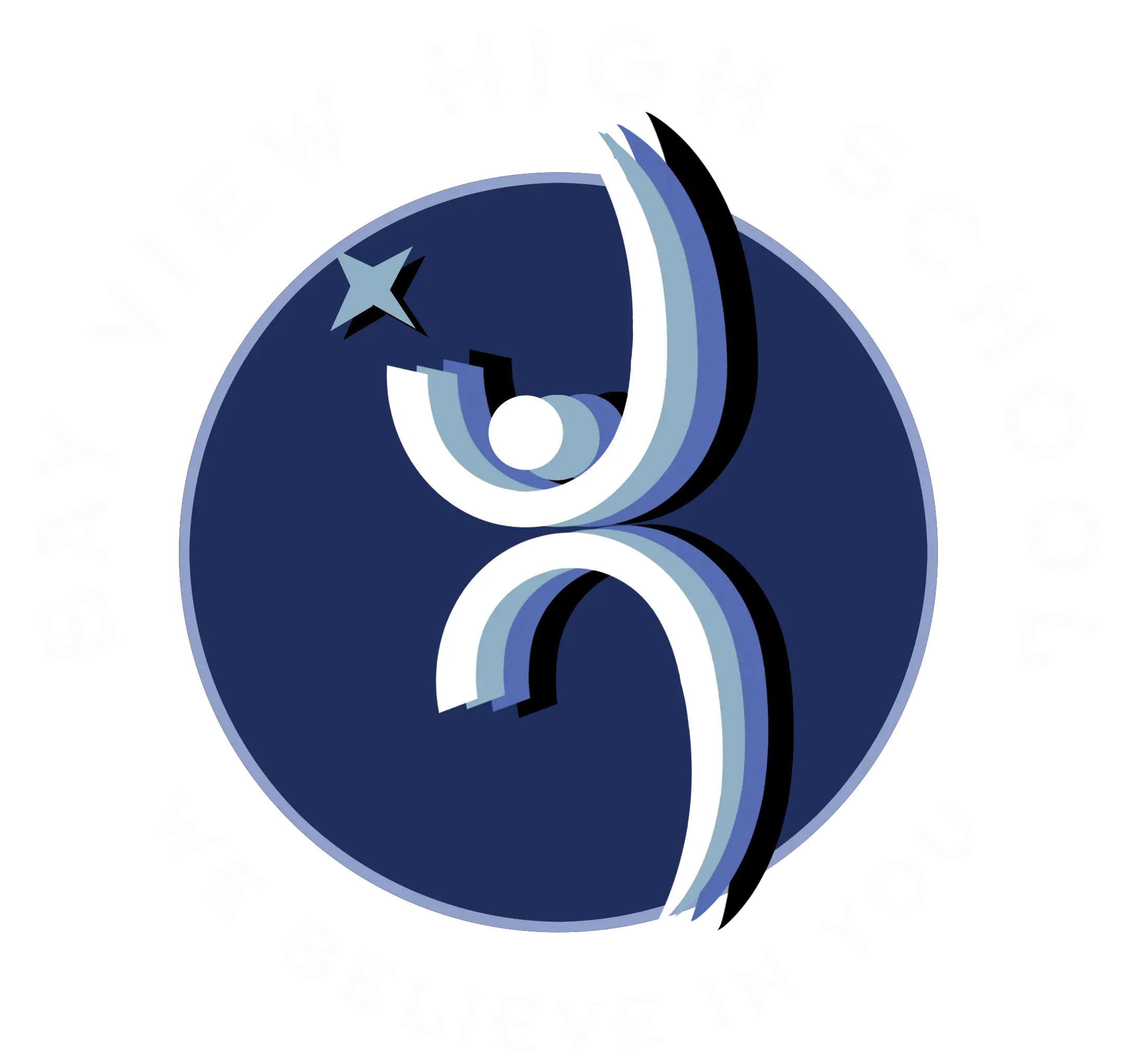 BVHS